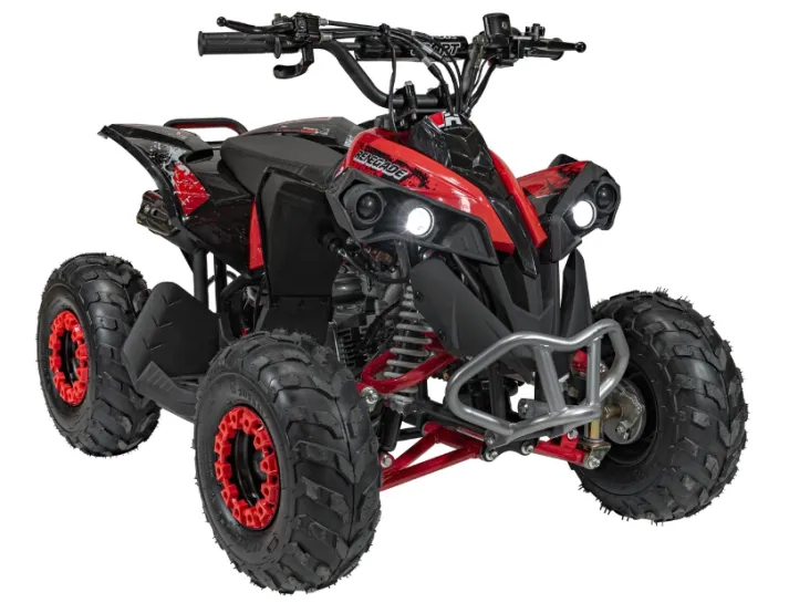 6894817020a01_quad-spalinowy-renegade-hiperfect-110cc-na-tle-terenu