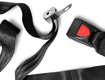 67062c4068712_pasy-do-noszy