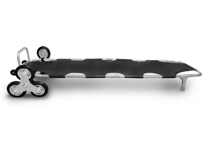 67e15dbc53951_transport-noszy-po-schodach