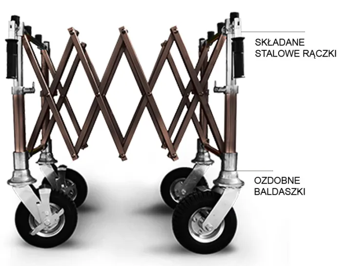 66793f6fccd35_premium-braz