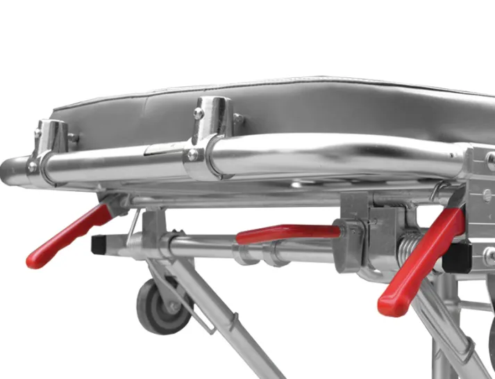 6694fc441bf14_Bez-nazwy-1jki