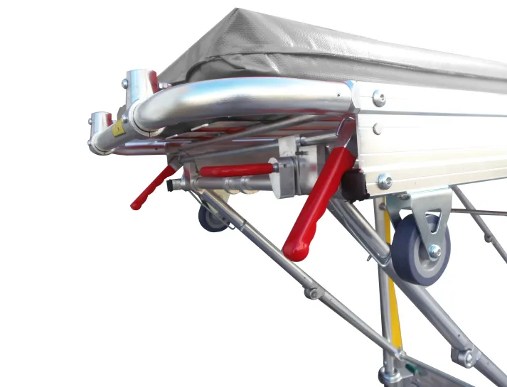 6694fc4758a6e_Nosze-szare-3b