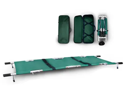 65f4577ddd8d4_nosze-z-walizką