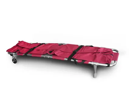 65f45db260665_bordo-z-sakwą5