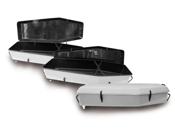 66aa15cd44131_kapsula-transportowa