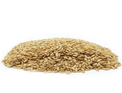 6793a8906453d_ziarno-do-tloczenia-oleju-len-zloty