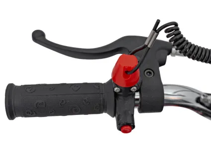 67d02ead1242a_hamulec-motoru