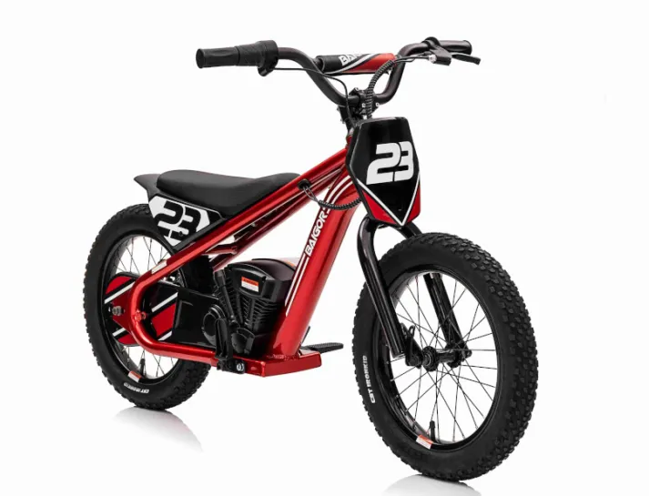 67c16a196fce6_motor-baigor