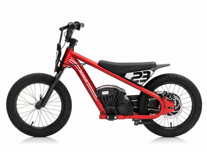 67c16a39bbab6_motor-na-akumulator