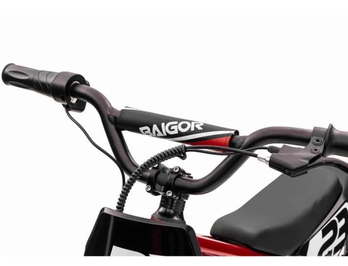 67c16a5d17966_kierownik-do-motoru