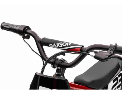 67c16a5d17966_kierownik-do-motoru