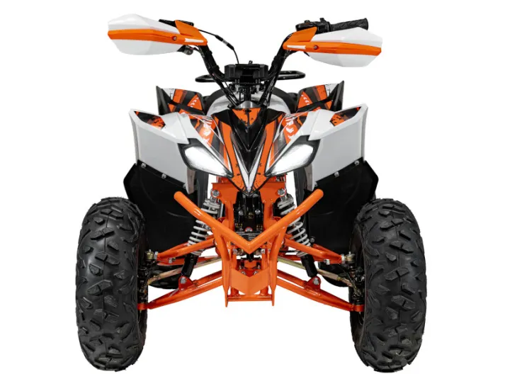 67d1756576657_quad-desert