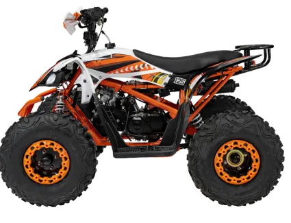 67d1758d4caf1_quad-spalinowy-desert