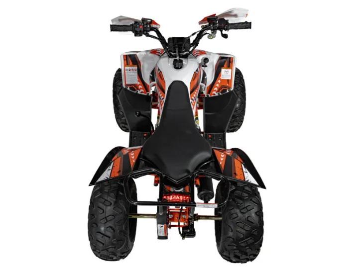 67d175939fd2f_quad-terenowy