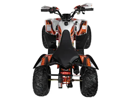 67d175939fd2f_quad-terenowy