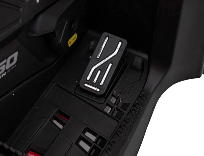 67d2dca9a9a2c_pedal-gazu