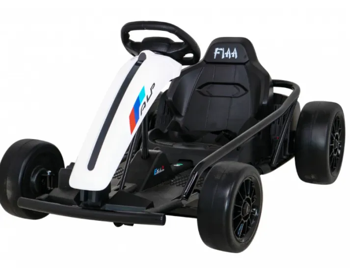 67e16ae751e7e_gokart-fx-1