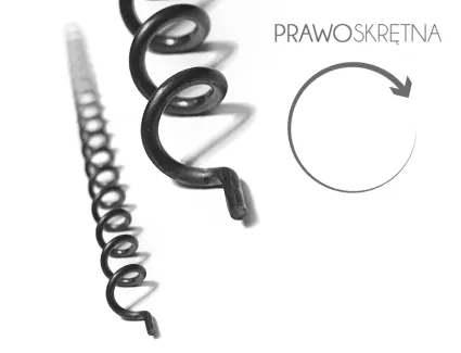 68f0f9d71d164_sprężynka-prawa