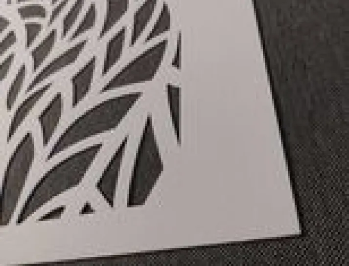 652c148c835dc_370318530_887717682202108_2877562243390855872_n