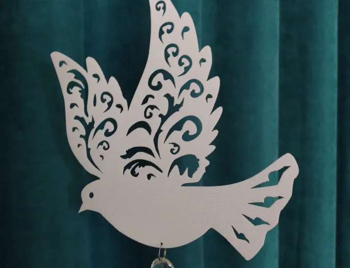 66842d006a450_IMG_20240702_093240894