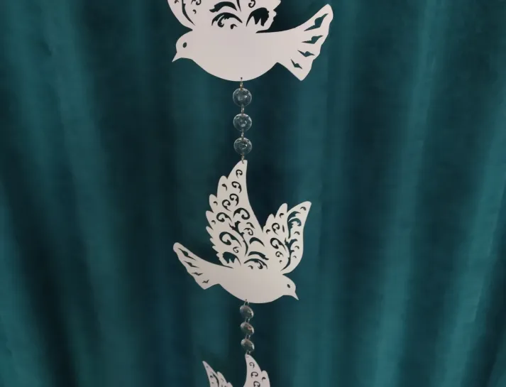 66842d043ef26_IMG_20240702_093245968