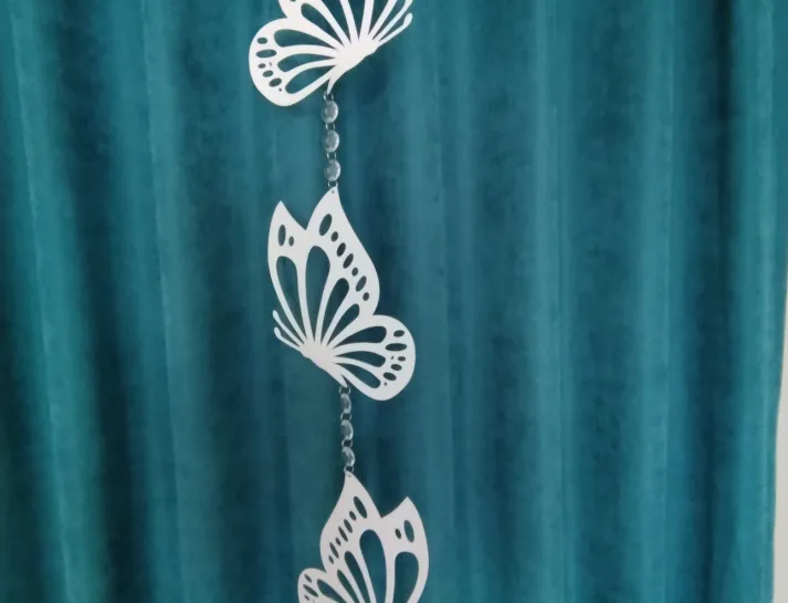 668448b85c7e8_IMG_20240702_093758827