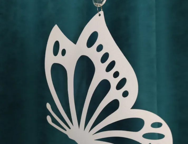 668448bd4a0ee_IMG_20240702_093806539