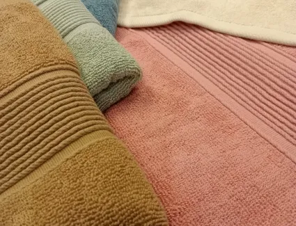 66fe810714650_IMG20241003113102