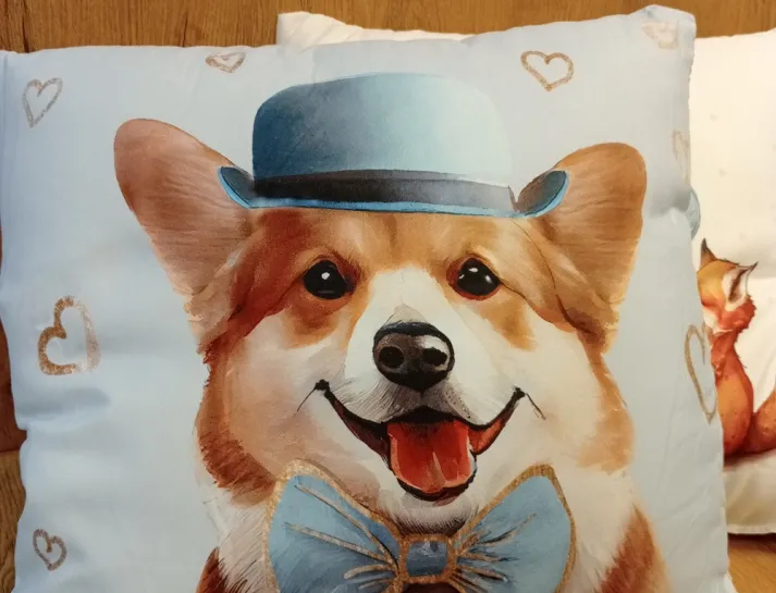 6706527adcb77_IMG20241009113602