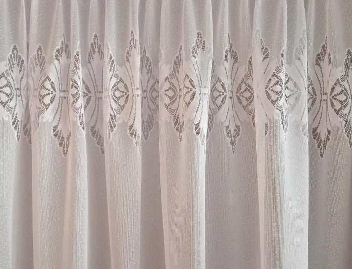 67079fd19c860_IMG20241010095522