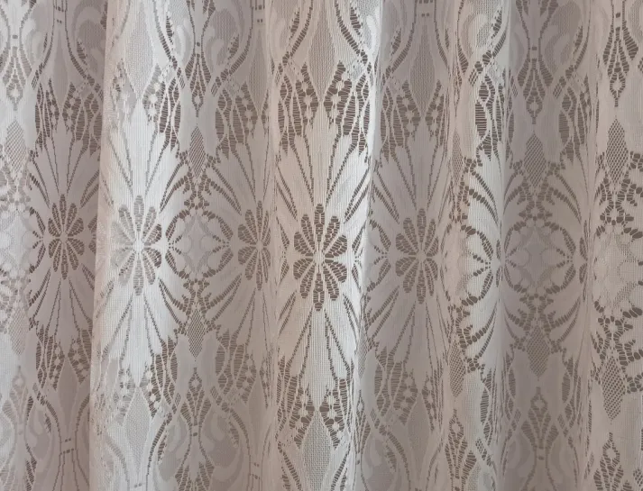 67079fda13614_IMG20241010095534