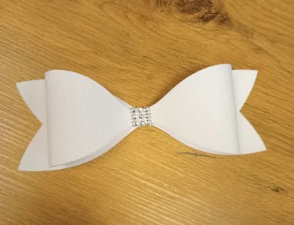 670f987c4fddc_IMG20241011144430