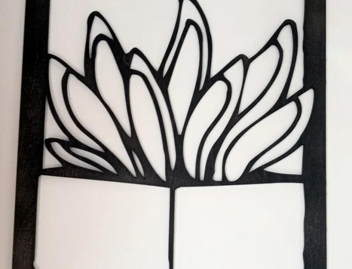 6712558910dca_IMG20241018113248