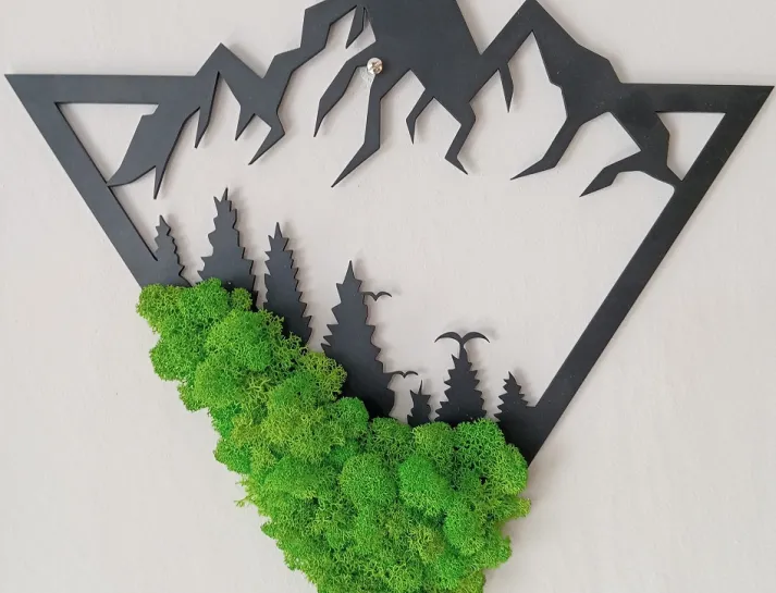 6717775ad263b_IMG20241018113404_BURST001_COVER